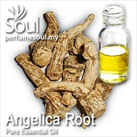 Pure Essential Oil Angelica Root - 50ml - Click Image to Close