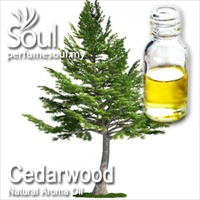 Natural Aroma Oil Cedar Wood - 50ml - Click Image to Close