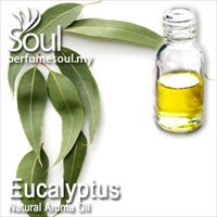Natural Aroma Oil Eucalyptus - 10ml - Click Image to Close