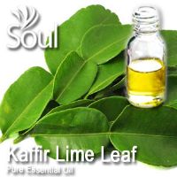 Pure Essential Oil Kaffir Lime Leaf - 10ml - Click Image to Close