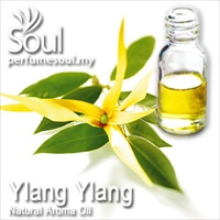 Natural Aroma Oil Ylang Ylang - 10ml - Click Image to Close